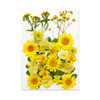 Dried Flowers Real Natural Plant Pressed Flower For Epoxy Resin Filling DIY Keychain Pendant Silicone Mold Jewelry Making Crafts