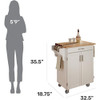 Dining Room Trolleys, Internal Locker Shelves, Kitchen Island with Ceiling Fans, Countertops on Wheels, Home Assist Trolleys