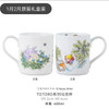 Japanese Classic Totoro Series Home Bone China Coffee Cup Saucer Spring Summer Autumn Winter Series Cartoon Cute Gifts