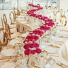 American Style Wholesale Tifany Stainless Steel Wedding Chair Gold Chairs For Events 370 American Style Wholesale Tifany Stainless Steel Wedding Chair Gold Chairs For Events 370