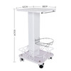 Max Load 40Kg Salon Table Trolley Stand Rolling Cart Beauty Wheel Holde Trolley Stand Beauty Equipment Machine Moving Cart