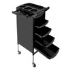 Salon Trolley with Handle and Rolling Wheels 5 Drawers and 2 Hair Dryer Holder Side Tray Salon Trolley with Handle and Rolling Wheels 5 Drawers and 2 Hair Dryer Holder Side Tray