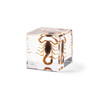 Real Insect Embedded Block Natural Specimen Resin Crafts Children's learning tool Lucite Cube with Display Stand Home Decoration