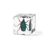 Real Insect Embedded Block Natural Specimen Resin Crafts Children's learning tool Lucite Cube with Display Stand Home Decoration