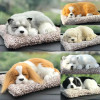 19 Styles Simulation Animal Plush Sleeping Dogs/Cat Cushion Toys Stuffed Plush Toys Home Car Decoration Children Birthday Gift