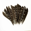 50pcs 4 Inch Water Drop Natural Turkey Arrow Feather Vanes Unprocessed