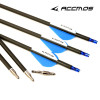 12pcs Newest Spine 350 400 Pure Carbon Arrow Id 6.2mm Archery Golden