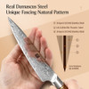 New Xinzuo 5'' Inch Utility Knife 73 Layers Damascus Stainless Steel