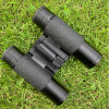 Powerful Shuntu 10x25 Ed Binoculars Smc Coating Waterproof Bak4 Prism