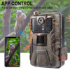 Outdoor 4k Live Video App Trail Camera Cloud Service 4g 36mp Hunting