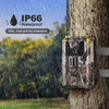 Hc900pro-4k/2k Live Video App Trail Camera Cloud Service 4g Cellular