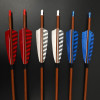 6/12pc Wood Skin Pure Carbon Arrows 32 inch Spine 350 400 450 500 550