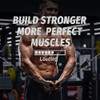 D Ring Metal Gym Handles Grip Workout Heavy Duty Cable Machine Handle