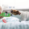Simulation Plush Stuffed Pet Dog Toy Beer Glass Beer Bottle BB Barking Sounding Pet Toy Dog Accessories Interactive Dog Toys
