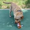 Simulation Plush Stuffed Pet Dog Toy Beer Glass Beer Bottle BB Barking Sounding Pet Toy Dog Accessories Interactive Dog Toys