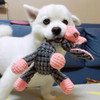 Dog Interactive Toy Animals Donkey Shaped Dog Chew Toys for Aggressive Chewers Corduroy Plush Dogs Squeaky Toy Puppy Bite Toys