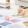 Electric Cat Ball Toys Automatic Rolling Smart Cat Toys for Cats Training Self-moving Kitten Toys for Indoor Interactive Playing