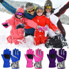 Winter Ski Waterproof Gloves | Winter Outdoor Ski Gloves | Ski Gloves