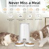 ROJECO WiFi Automatic Cat Feeder Pet Smart Cat Food Kibble Dispenser Remote Control Auto Feeder For Cat Dog Dry Food Accessories