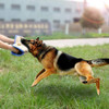 Linen Dog Bite Pillow Wedge 2 Handles with 1 Loop Tug Interactive for Puppies Young Dogs Training Playing Fetching Games