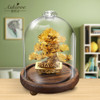 Feng shui Decor Lucky Wealth Ornament 24k Gold Foil Pine Tree Gold