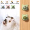 Catnip Healthy Nutrition Pasted Lollipop Cat Supplies Mint On The Wall Kitten Energy Ball Candy Snacks Goods For Pet Products
