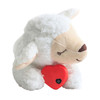 Cute Heartbeat Puppy Behavioral Training Toy Plush Pet Comfortable Snuggle Anxiety Relief Sleep Aid Doll Durable Pet Supplies