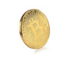 10pc/lot Gold Crypto Coin Commemoration, Btc Token With Case, Fake