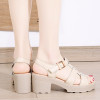Ngouxm High Heels Gladiator Sandals Woman Open Head Beige Block Heel
