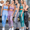 Women Seamless Activewear Fitness Gym Wear Sportswear Crop Top