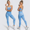 Women Seamless Activewear Fitness Gym Wear Sportswear Crop Top