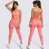 Women Seamless Activewear Fitness Gym Wear Sportswear Crop Top