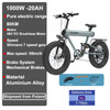 Adult Electric Bicycle 1000w 48V 20ah Mountain Electric Bike 20 Inch Fat Tire Outdoor Entertainment Off Road Electric Bike K20