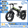 ZPW H20PRO Ebike 1000W 48V20AH Foldable Electric bicycle 20 Inch 4.0 Fat Tire Mountain Electric bikes Adult E-bikes