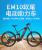 EM10 Bafang M600 Carbon Fiber Electric Mountain Bike Bafang 500W Torque Electric