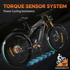 2023 New BLJ DP04072 Fat Electric Bike for Adults 1000W BAFANG Motor 26 Inch Fat Tire Mid Drive Full Suspension Ebike