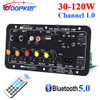 Woopker Bluetooth Audio Amplifier Board 120W Subwoofer Dual Microphone AMP Module for 4 ohms 8-12 inch Speaker 12/24V 110/220V