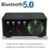 Mini Audio HiFi Bluetooth 5.0 Power Class D Amplifier Tpa3116 Digital Amp 50W*2 Home Audio Car Marine USB/AUX IN