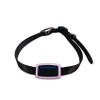 Best Seller 4G Mini GPS Animal Pet Dog Cat Cow Sheep Collare Collar Para Perro Con GPS Mascotas Tracker Tracer Tracking Device