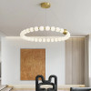 Round Ring Hanging Lamp Frosted Ball Ceiling Chandelier High Quality Living Room Dining Room Hanging Light Fixtures