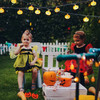 3m 20LED Halloween Pumpkin Ghost Spider Skull LED String Lights Pumpkin Ornaments Lamp Tree Home Party Halloween Decoration