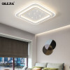 Modern Simple Starry Sky Led Ceiling Lights For Living Dining Room Bedroom Study Iron Lamp Body Indoor Deco Lighting Luminaire