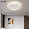 Modern Simple Starry Sky Led Ceiling Lights For Living Dining Room Bedroom Study Iron Lamp Body Indoor Deco Lighting Luminaire