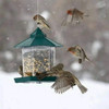 Waterproof Gazebo Hanging Wild Bird Feeder Outdoor Container With Hang Rope Feeding House Type Bird Feeder Aves Decor