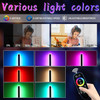 Outdoor Long Wall Light Fixtures LED Waterproof IP65 Wall Mount Lighting RGB 7-Colors Dimmable Garden Porch Light Lantern Sconce