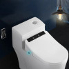 Bathroom Smart Toilet Seat Cover Electronic Bidet Clean Dry Seat Heating Gold Intelligent Led Light Toilet Seat Remote Control