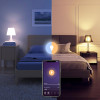 Timing Control Wifi Bulb Dimmable Work With Alexa Google Home Led Light Bulb E27 E26 B22 Smart Light Bulb 9w Voice Control