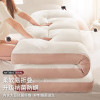 Tatami Floor Soft Comfortable Mattress Student Dormitory Single soy fiber Mattress Home Thicken Warm Double Futon Bed Mattress