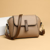 Luxury Designer Solid Color Women's Small Handbag Fashion Shoulder Messenger Bag Ladies pu Leather Shell Crossbody Bag Bolsas