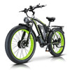 2024 New Model 1500W Motor 48V20AH Battery 26 Inch Fat Tires, Hydraulic Brakes Mountain Off-Road Snow Electric Bicycle